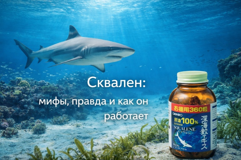 Сквален: мифы, правда и как он работает