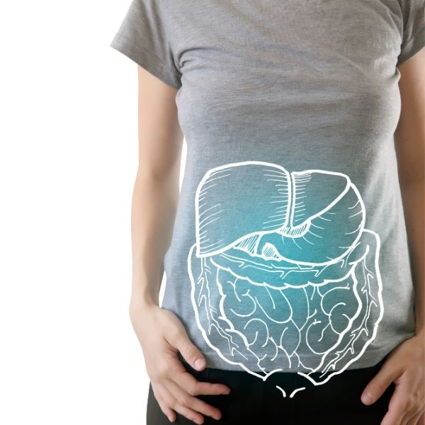 рисунок кишечника на футболке