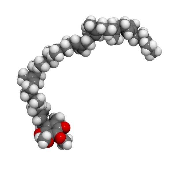 химическая структура коэнзима