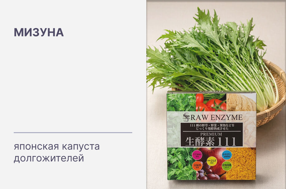 Мизуна: японская капуста с уникальными свойствами