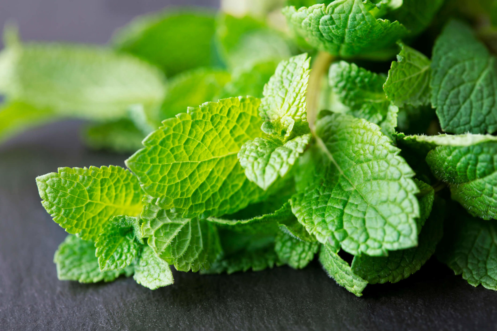 mint leaves