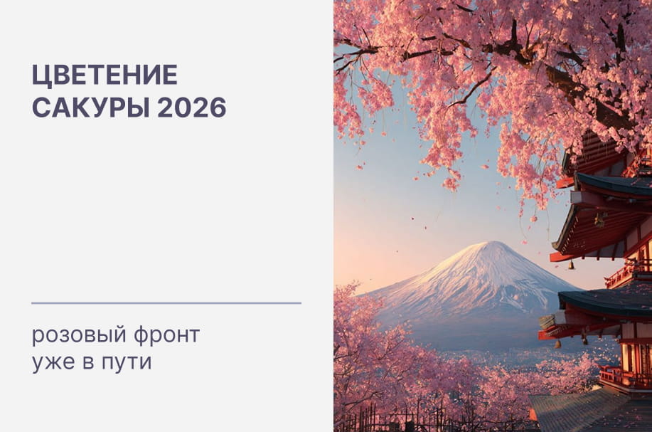 Цветение сакуры 2026: розовый фронт уже в пути