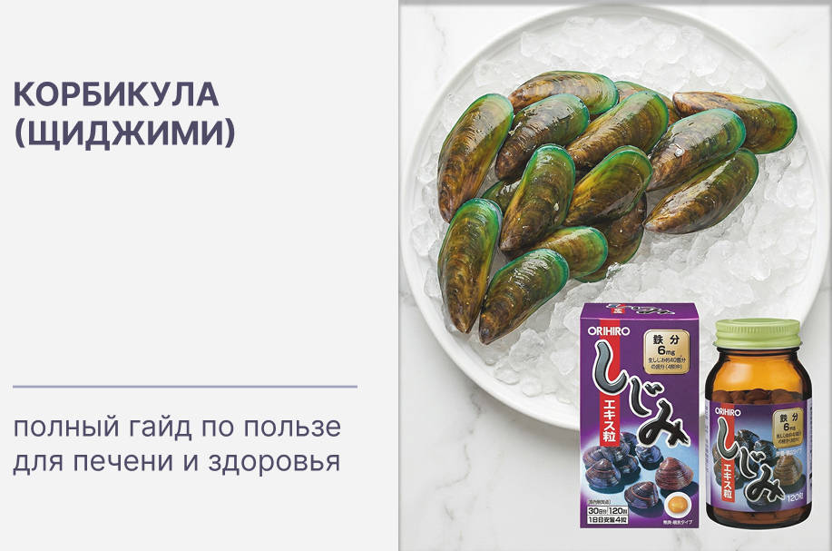 Корбикула (щиджими): полный гайд по пользе для печени и здоровья