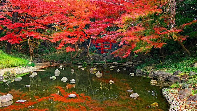 8 лучших японских садов в Токио