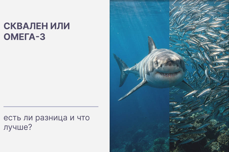 Сквален или Омега-3: есть ли разница и что лучше?
