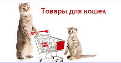 Японские товары для кошек: витамины, добавки и уход для здоровья вашего питомца