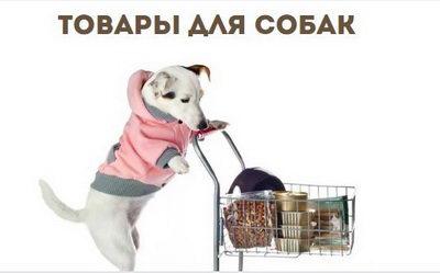 Японские витамины и добавки для собак: здоровье, активность и долголетие
