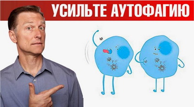 Аутофагия